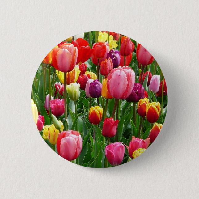 pixabay.comentulips-tulip-bed-colourful-colour-521 6 cm round badge (Front)