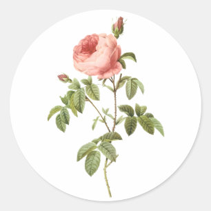 PixDezine vintage victorian roses/redoute Classic Round Sticker