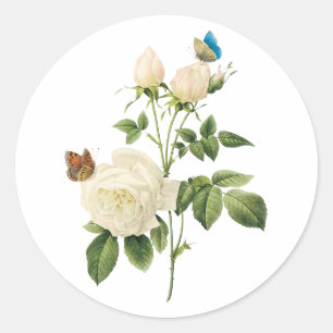 PixDezine vintage victorian roses/redoute Classic Round Sticker