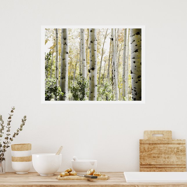 PixDezines Birch Trees Poster (Kitchen)