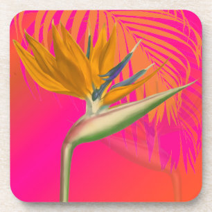 PixDezines bird of paradise/DIY background colour Coaster