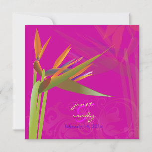 PixDezines BIRD OF PARADISE/DIY Background Colour Invitation