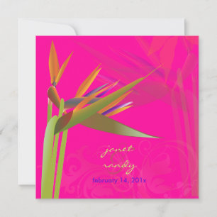 PixDezines BIRD OF PARADISE/DIY Background Colour Invitation