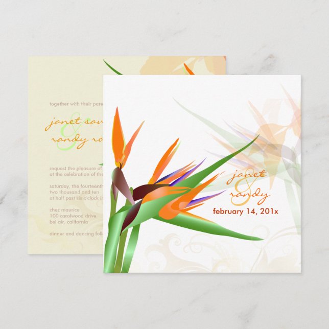 PixDezines BIRD OF PARADISE/DIY Background Colour Invitation (Front/Back)