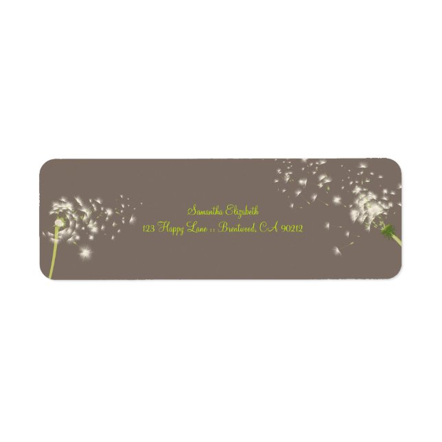 PixDezines dandelions/diy background colour (Front)