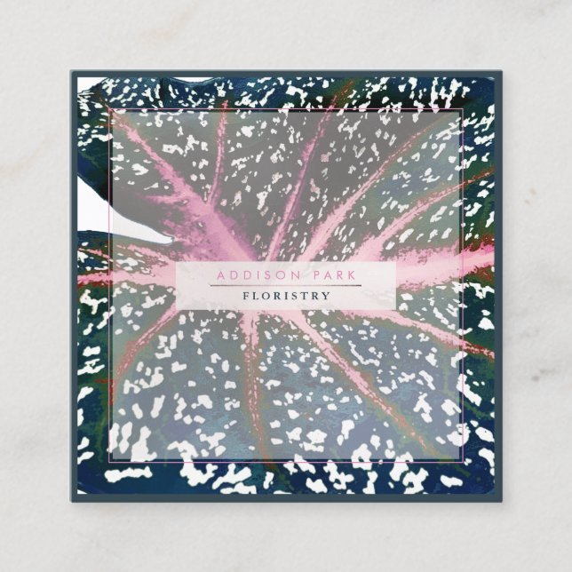 PixDezines Dark Green Caladium Coral Spine Square Business Card (Front)