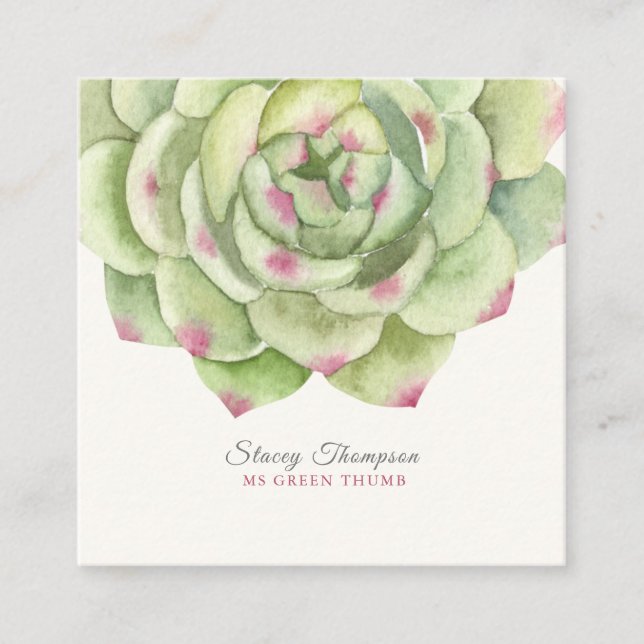 PixDezines Desert Rose Succulent Watercolor Square Business Card (Front)