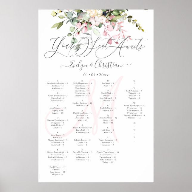 PixDezines Elegant Blush Pink Eucalyptus Poster (Front)
