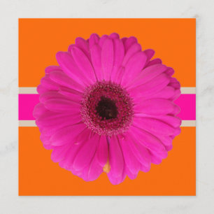 PixDezines Gerbera, pink/diy background/event! Invitation