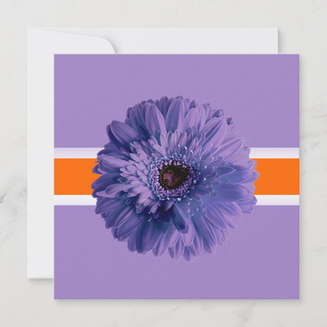PixDezines Gerbera, purple/diy background colours Invitation (Front)