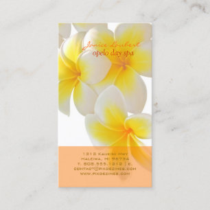 PixDezines Hawaii Plumeria Business Card