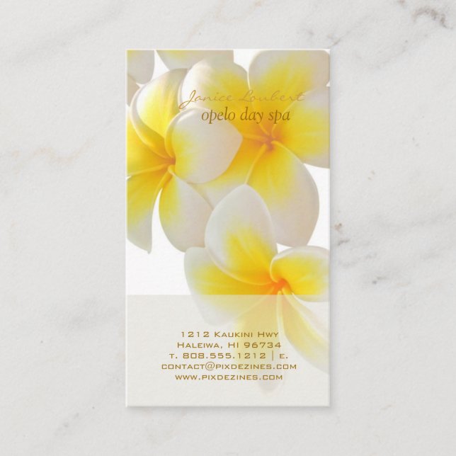 PixDezines Hawaii Plumeria Business Card (Front)