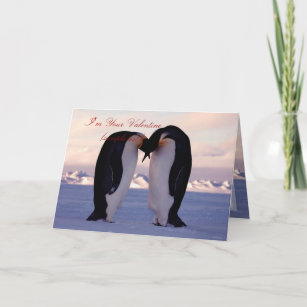 PixDezines Kissing Emperor Penguin Valentine's Holiday Card