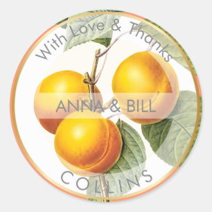 PixDezines Orchard/Peaches/DIY Thank You Classic Round Sticker