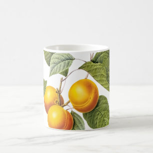 PixDezines Orchard/Peaches/Redoute Coffee Mug