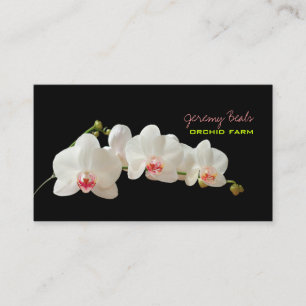 PixDezines orchid/diy background colour♥♥♥ Business Card