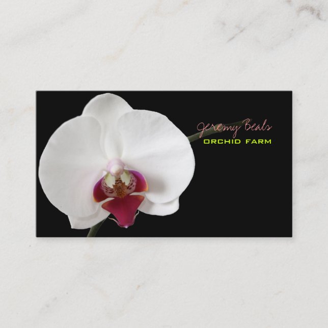 PixDezines orchid/diy background colour♥♥♥ Business Card (Front)