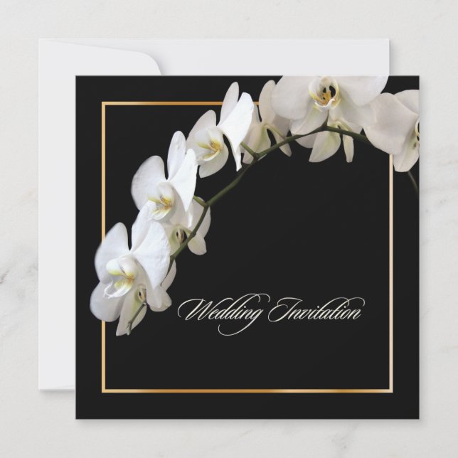 PixDezines orchids/phalaenopsis Invitation (Front)