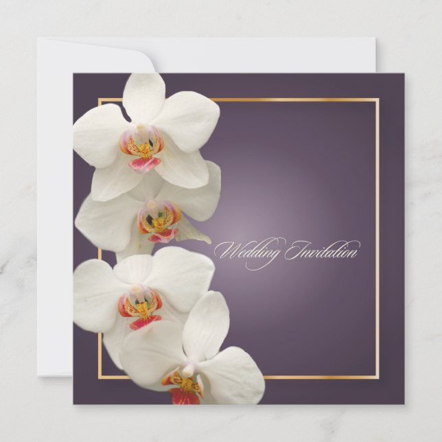 PixDezines orchids/phalaenopsis Invitation (Front)