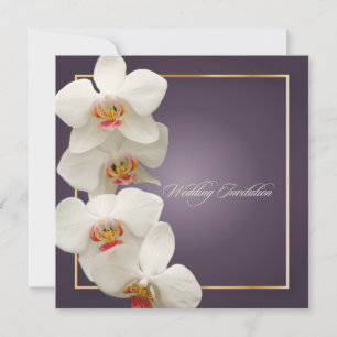 PixDezines orchids/phalaenopsis Invitation