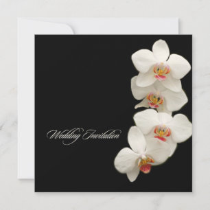 PixDezines orchids/phalaenopsis Invitation