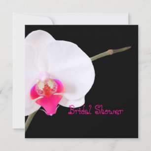 PixDezines orchids/phalaenopsis Invitation
