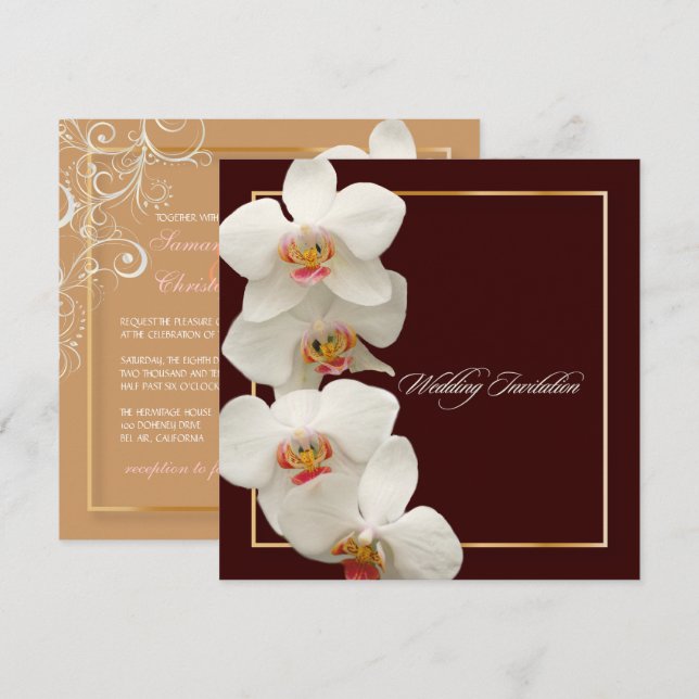 PixDezines orchids/phalaenopsis Invitation (Front/Back)