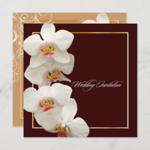 PixDezines orchids/phalaenopsis Invitation