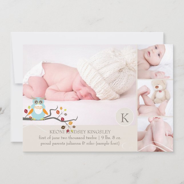 PixDezines owl photo template birth announcement (Front)