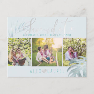 PixDezines Palms Save our Date/Platinum+Aqua Announcement Postcard