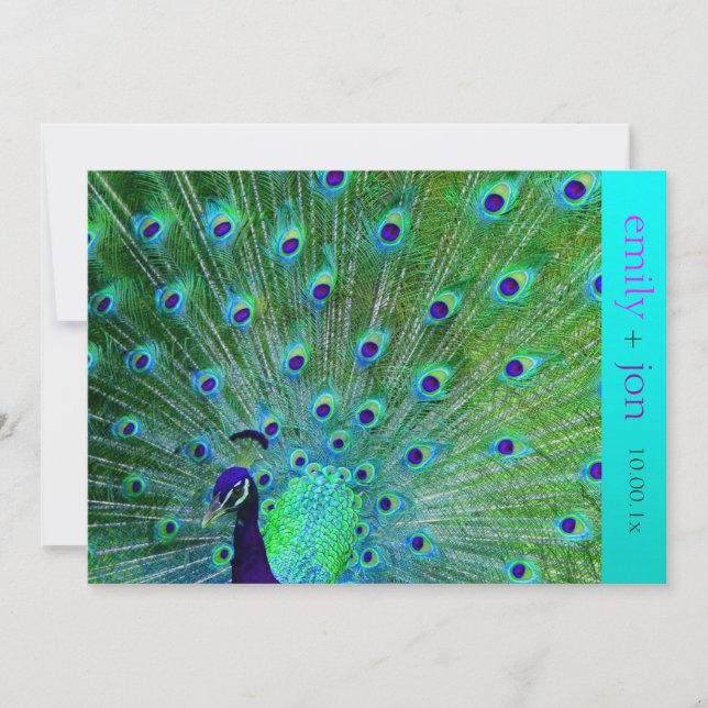 PixDezines peacock feather/aqua/turquoise Invitation (Front)