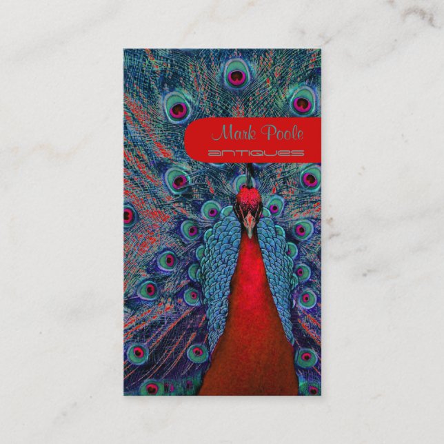 PixDezines peacock feather Business Card (Front)