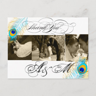 PixDezines Peacock Wedding Photos Thank you Postcard