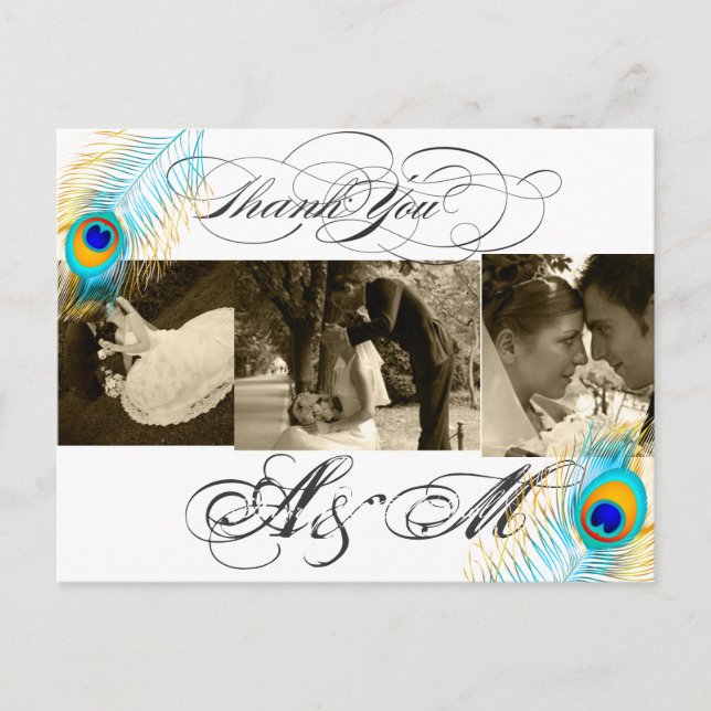 PixDezines Peacock Wedding Photos Thank you Postcard (Front)
