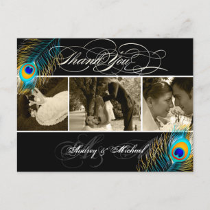 PixDezines Peacock Wedding Photos Thank you Postcard