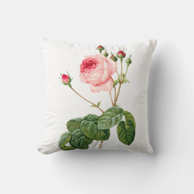 PixDezines Redoute Vintage Roses/DIY background Cushion (Front)
