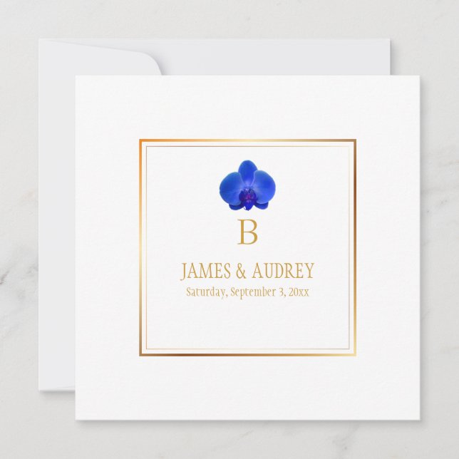 PixDezines Royal Blue Orchids/phalaenopsis Invitation (Front)