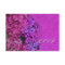 PixDezines RSVP Hydrangea, magenta