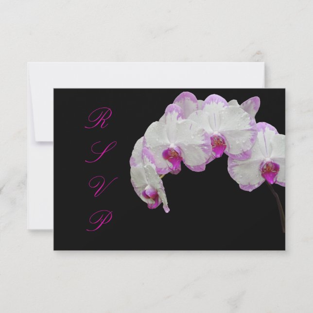 PixDezines rsvp moth orchids/fuschia (Front)