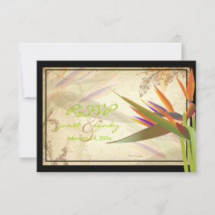 PixDezines RSVP VINTAGE BIRD OF PARADISE