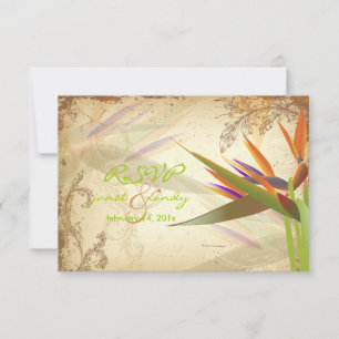 PixDezines RSVP VINTAGE BIRD OF PARADISE