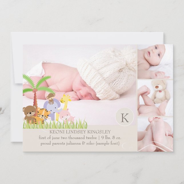 PixDezines safari jungle photo template (Front)