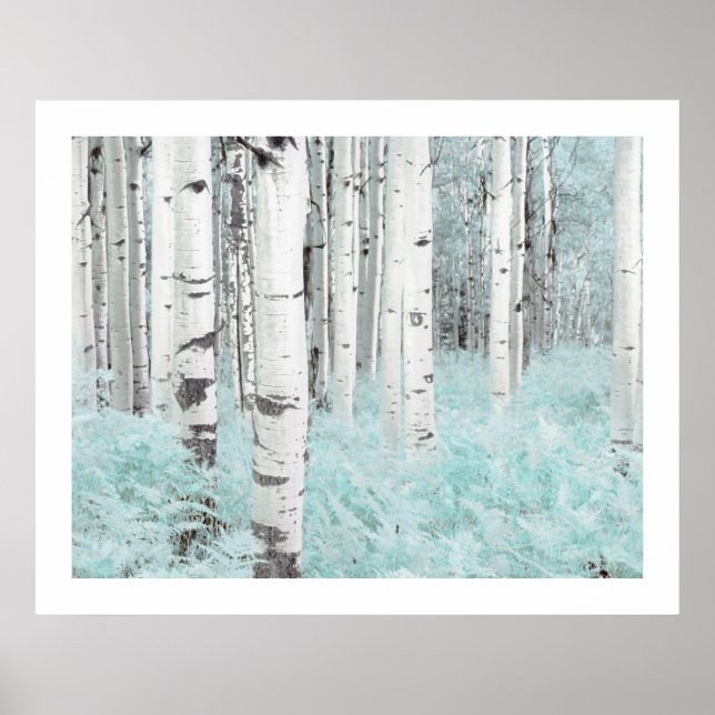 PixDezines Silver Birch Forest Blue Fern Bed Poster (Front)