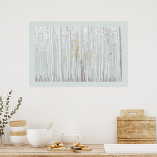 PixDezines Silver Birch Forest DIY Border Colour Poster