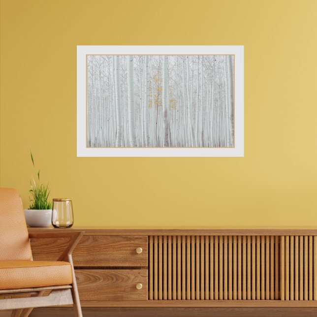 PixDezines Silver Birch Forest DIY Border Colour Poster (Living Room 2)