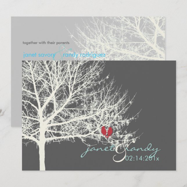 PixDezines SNOW BIRDS/WINTER/DIY colours Invitation (Front/Back)