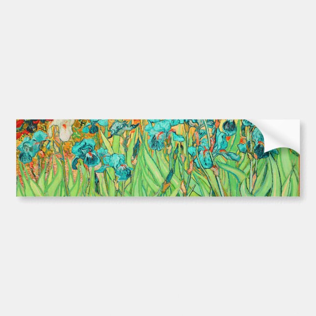 PixDezines van gogh iris/st. remy Bumper Sticker (Front)