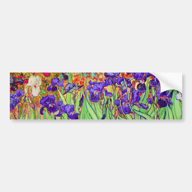 PixDezines van gogh iris/st. remy Bumper Sticker (Front)