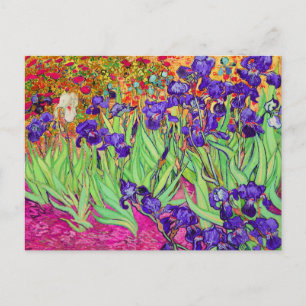 PixDezines van gogh iris/st. remy Postcard