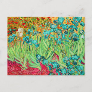 PixDezines van gogh iris/st. remy Postcard
